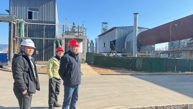 微信图片_2026-01-15_140535_115.jpg 微信图片_2026-01-15_140535_115.jpg